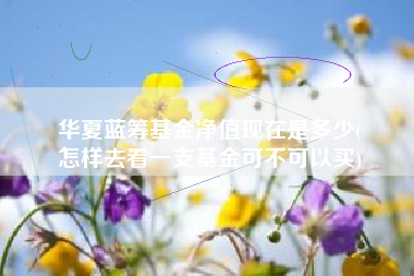 华夏蓝筹基金净值现在是多少(
怎样去看一支基金可不可以买)