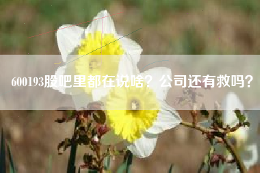 600193股吧里都在说啥？公司还有救吗？