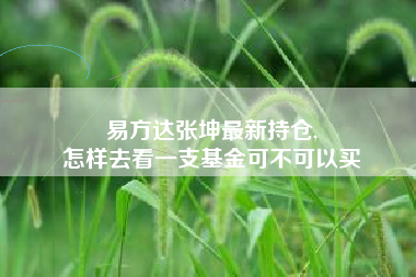 易方达张坤最新持仓,
怎样去看一支基金可不可以买