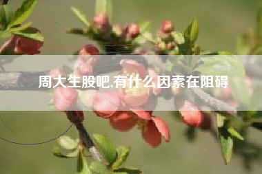 周大生股吧,有什么因素在阻碍