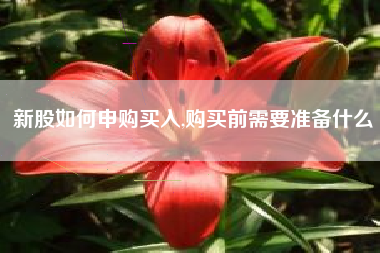 新股如何申购买入,购买前需要准备什么