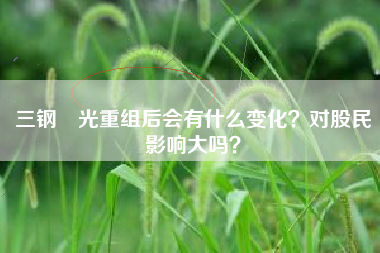 三钢閩光重组后会有什么变化？对股民影响大吗？