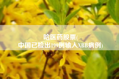 哈医药股票(
中国已检出199例输入XBB病例)