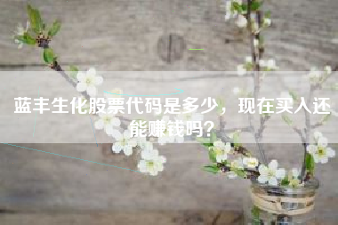 蓝丰生化股票代码是多少，现在买入还能赚钱吗？