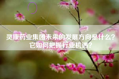 灵康药业集团未来的发展方向是什么？它如何把握行业机遇？