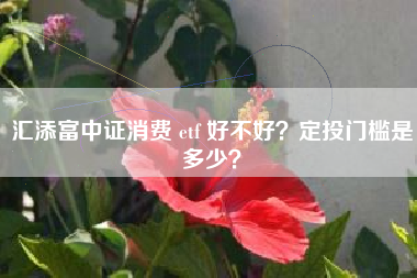 汇添富中证消费 etf 好不好？定投门槛是多少？