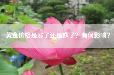 黄金价格是涨了还是跌了？有何影响？