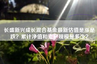 长盛新兴成长混合基金最新估值是涨是跌？累计净值和资产规模是多少？