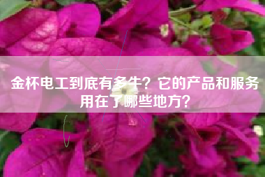 金杯电工到底有多牛？它的产品和服务用在了哪些地方？