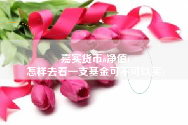 嘉实货币a净值(
怎样去看一支基金可不可以买)