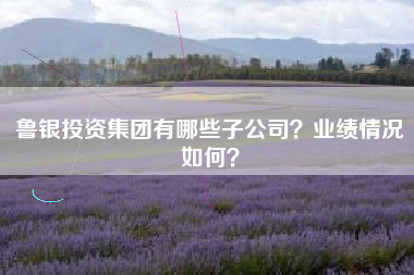 鲁银投资集团有哪些子公司？业绩情况如何？