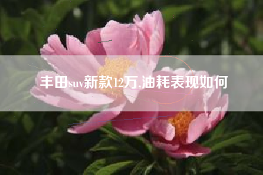 丰田suv新款12万,油耗表现如何