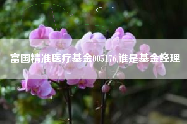 富国精准医疗基金005176,谁是基金经理