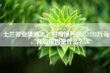 士兰微业绩缩水，归母净亏损1527.77万元，背后原因是什么？