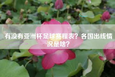 有没有亚洲杯足球赛程表？各国出线情况是啥？