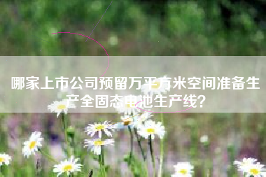 哪家上市公司预留万平方米空间准备生产全固态电池生产线？