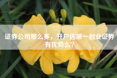 证券公司那么多，开户选第一创业证券有优势么？