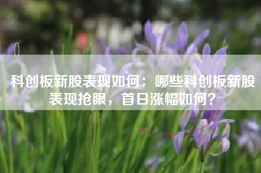 科创板新股表现如何：哪些科创板新股表现抢眼，首日涨幅如何？