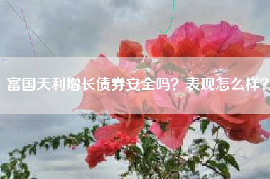 富国天利增长债券安全吗？表现怎么样？