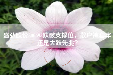 盛弘股份300693跌破支撑位，散户被套牢还是大跌先兆？