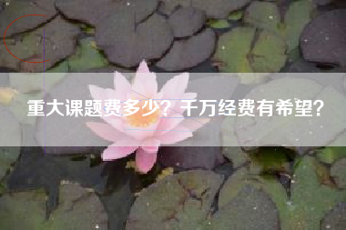 重大课题费多少？千万经费有希望？