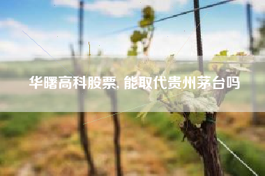 华曙高科股票, 能取代贵州茅台吗