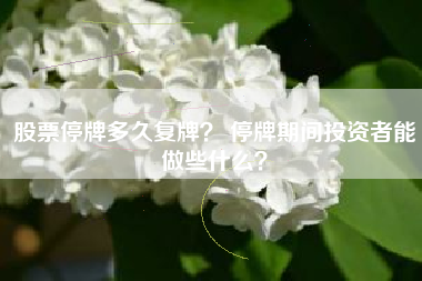 股票停牌多久复牌？ 停牌期间投资者能做些什么？