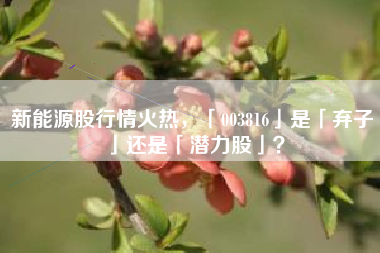 新能源股行情火热，「003816」是「弃子」还是「潜力股」？