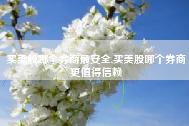 买美股哪个券商最安全,买美股哪个券商更值得信赖