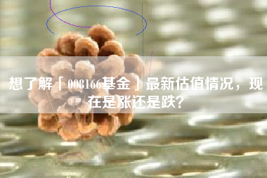 想了解「008166基金」最新估值情况，现在是涨还是跌？