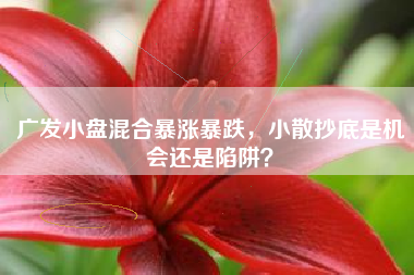 广发小盘混合暴涨暴跌，小散抄底是机会还是陷阱？