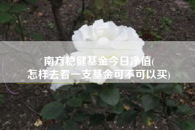 南方稳健基金今日净值(
怎样去看一支基金可不可以买)