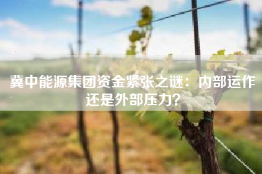 冀中能源集团资金紧张之谜：内部运作还是外部压力？