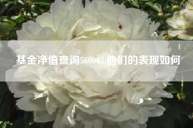 基金净值查询560003,他们的表现如何