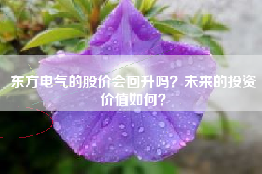 东方电气的股价会回升吗？未来的投资价值如何？
