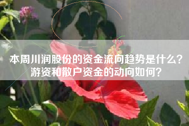本周川润股份的资金流向趋势是什么？游资和散户资金的动向如何？