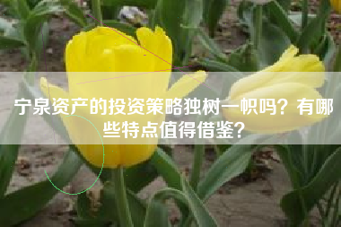 宁泉资产的投资策略独树一帜吗？有哪些特点值得借鉴？