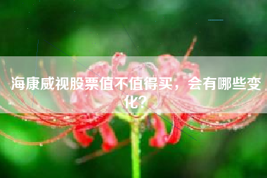 海康威视股票值不值得买，会有哪些变化？