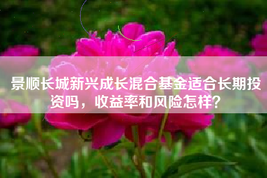景顺长城新兴成长混合基金适合长期投资吗，收益率和风险怎样？