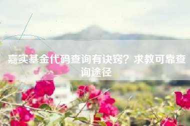 嘉实基金代码查询有诀窍？求教可靠查询途径