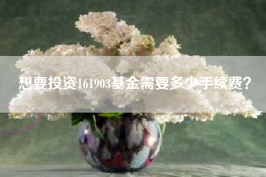 想要投资161903基金需要多少手续费？