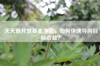 天天查开放基金净值，如何快速导向目标收益？