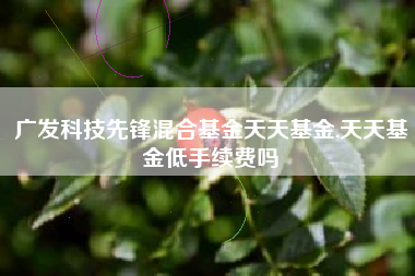 广发科技先锋混合基金天天基金,天天基金低手续费吗