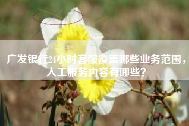广发银行24小时客服覆盖哪些业务范围，人工服务内容有哪些？