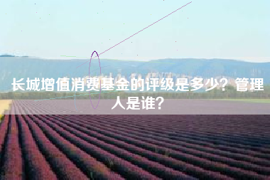 长城增值消费基金的评级是多少？管理人是谁？