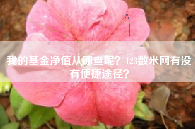 我的基金净值从哪查呢？123数米网有没有便捷途径？
