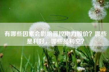 有哪些因素会影响晋控电力股价？哪些是利好，哪些是利空？