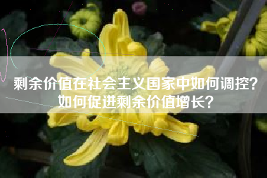 剩余价值在社会主义国家中如何调控？如何促进剩余价值增长？