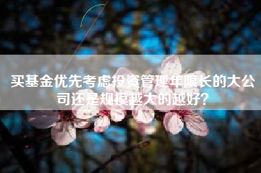买基金优先考虑投资管理年限长的大公司还是规模越大的越好？