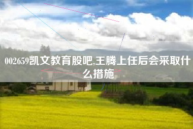 002659凯文教育股吧,王腾上任后会采取什么措施
